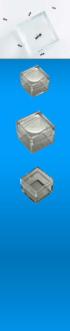 Bug Magnifiers